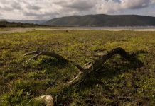 Η κλιματική αλλαγή απειλεί τη Μικρή Πρέσπα