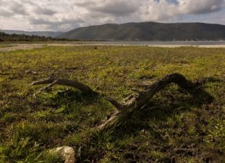 Η κλιματική αλλαγή απειλεί τη Μικρή Πρέσπα