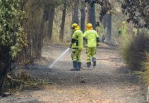 Αυστραλία: Κύμα καύσωνα με θερμοκρασίες ρεκόρ τροφοδοτεί πυρκαγιές