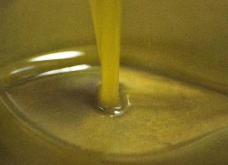 ΑΦΙΕΡΩΜΑ: Τηλεοπτικό οδοιπορικό στους δρόμους του λαδιού – Τα ελαιουργεία και τα δυσεύρετα εργατικά χέρια