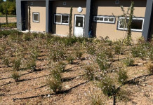 Θεσσαλονίκη: 15 θεματικοί κήποι στην ΑΓΣ προάγουν βιώσιμες πρακτικές και την ανθεκτικότητα στην κλιματική κρίση