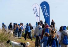 Εθελοντές-εργαζόμενοι της AEGEAN γιόρτασαν την αγάπη…διαφορετικά, με δενδροφύτευση στον Υμηττό