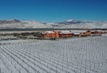 Το «Κτήμα ‘Αλφα» το πρώτο ελληνικό οινοποιείο που εντάσσεται στην IVES