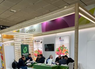 Enterprise Greece: Ρεκόρ εξαγωγών και νέες συμφωνίες για τα ελληνικά φρούτα και λαχανικά στη Fruit Logistica 2026