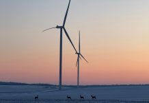 ΔΕΗ – Κ. Μαύρος: Έχουμε διπλασιάσει την εγκατεστημένη ισχύ μας στη Ρουμανία και θα επιτύχουμε τον στόχο των 2 GW από ΑΠΕ έως το τέλος του έτους