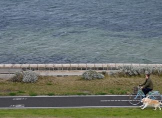 Πρόληψη, άσκηση, ζώα: Τα μυστικά για μια ζωή γεμάτη υγεία