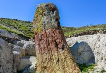 Λέσβος και Καλαμπάκα: Τι ενώνει ένα νησί του Αιγαίου με τα Μετέωρα