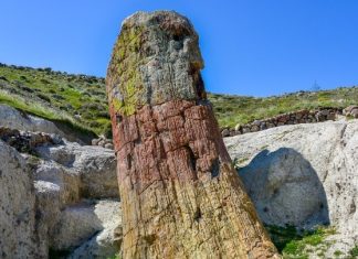 Λέσβος και Καλαμπάκα: Τι ενώνει ένα νησί του Αιγαίου με τα Μετέωρα