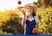 Lidl Ελλάς: Δημοσίευση 5ου απολογισμού βιωσιμότητας για το 2024