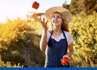 Lidl Ελλάς: Δημοσίευση 5ου απολογισμού βιωσιμότητας για το 2024