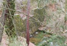 Δύο μεγάλα αντιπλημμυρικά έργα εκτελεί το Δασαρχείο Θεσσαλονίκης σε Θέρμη και Ευκαρπία