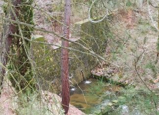 Δύο μεγάλα αντιπλημμυρικά έργα εκτελεί το Δασαρχείο Θεσσαλονίκης σε Θέρμη και Ευκαρπία