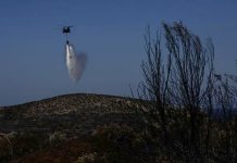 Σε ισχύ ο Ημερήσιος Χάρτης Πρόβλεψης Κινδύνου Πυρκαγιάς