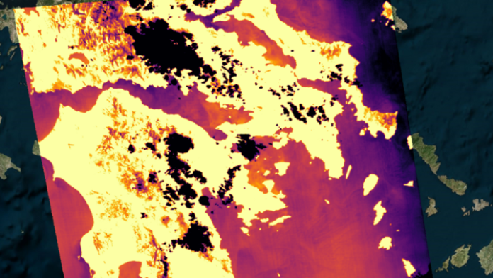 101040w10-81106ThermalPhoto