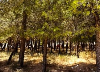 Επτά στις δέκα περιοχές Natura προστατεύονται από ΕΠΜ – Τι σηματοδοτεί η απόφαση για τα Ιωάννινα