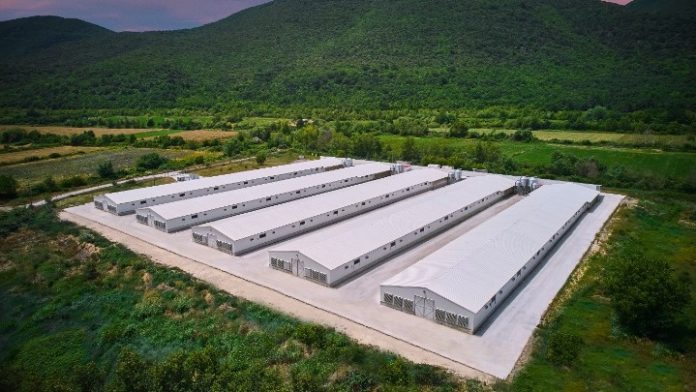 mhp-nitsiakos