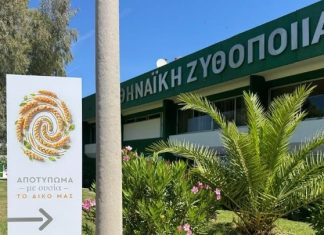 Αθηναϊκή Ζυθοποιία: Πράσινες επενδύσεις άνω των 60 εκατ. ευρώ στο εργοστάσιο της Πάτρας