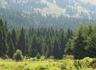 Πολύ υψηλός κίνδυνος πυρκαγιάς αύριο σε Αττική, Πελοπόννησο και σε περιοχές των Περιφερειών Στερεάς Ελλάδας, Δυτικής Ελλάδας και Βορείου Αιγαίου