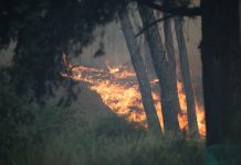 Μάχη από αέρος για τη φωτιά στο Δερβένι – Εντοπίστηκε σορός άνδρα από τους πυροσβέστες