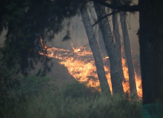 Μάχη από αέρος για τη φωτιά στο Δερβένι – Εντοπίστηκε σορός άνδρα από τους πυροσβέστες