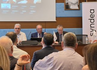 Syndea: Στα 30,38 εκατ. ευρώ η παραγωγή ασφαλίστρων το 2025 – Στα μέσα του 2027 το νέο πληροφοριακό σύστημα