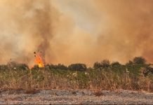 Πυροσβεστική: Μάχη για την αντιμετώπιση 73 πυρκαγιών σε όλη τη χώρα – Οι δυσκολότερες σε Ξηρονομή και Καλαμάκι Βοιωτίας