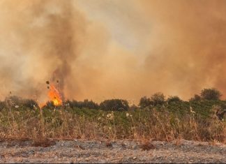 Πυροσβεστική: Μάχη για την αντιμετώπιση 73 πυρκαγιών σε όλη τη χώρα – Οι δυσκολότερες σε Ξηρονομή και Καλαμάκι Βοιωτίας