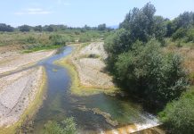 Πηνειός ποταμός: Εμφανής η πτώση της ροής του – Πως εξηγεί το φαινόμενο ο καθηγητής Ν. Μυλόπουλος