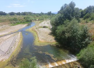 Πηνειός ποταμός: Εμφανής η πτώση της ροής του – Πως εξηγεί το φαινόμενο ο καθηγητής Ν. Μυλόπουλος