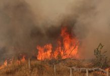 Μαίνεται η πυρκαγιά στη Δυτική Αττική