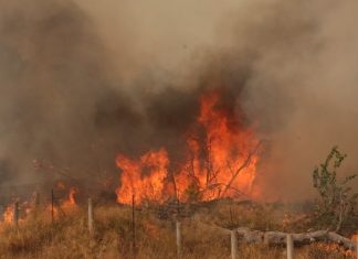 Μαίνεται η πυρκαγιά στη Δυτική Αττική