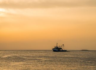 Δεύτερη πηγή εισοδήματος για τους επαγγελματίες ψαράδες ο αλιευτικός τουρισμός