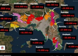 ΜΕΤΕΟ: Το 42% των δασών της Αττικής κάηκε τα τελευταία δέκα χρόνια