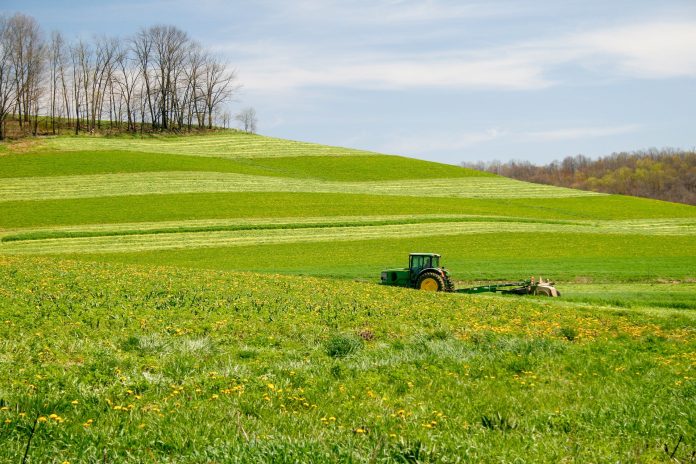 agriculture