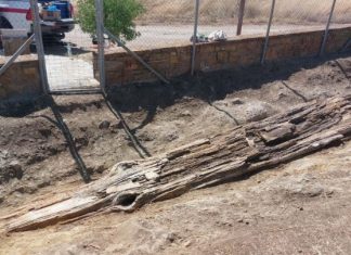 Aνάδειξη γιγάντιου απολιθωμένου κορμού δένδρου στον οικισμό Βάρος Λήμνου
