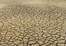 Βρετανία: Σχεδόν τα τρία τέταρτα της Αγγλίας σε κατάσταση ξηρασίας