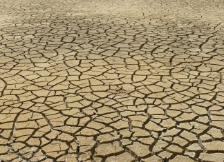 Βρετανία: Σχεδόν τα τρία τέταρτα της Αγγλίας σε κατάσταση ξηρασίας