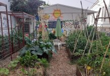 Μυτιλήνη: Όταν ένας σχολικός κήπος εκτός από λαχανικά παράγει και… μεταδιδακτορική έρευνα