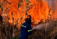 Μάχη με τις φλόγες στα δύο μέτωπα στη Βοιωτία – Καλύτερη η κατάσταση στο Ρέθυμνο