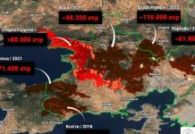 Πάνω από 480.000 στρέμματα καμένα στη δυτική Αττική από δασικές πυρκαγιές τα τελευταία 9 χρόνια