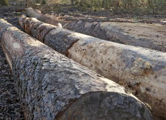 ΠΟΓΕΔΥ: Απάντηση στις επικρίσεις για το Antinero – «Η πρόληψη δεν καταργεί τον κίνδυνο πυρκαγιάς»