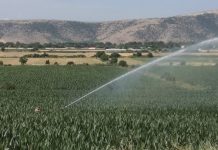 Στη Θεσσαλία η στάθμη του υδροφόρου ορίζοντα κατεβαίνει κάθε χρόνο
