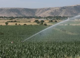 Στη Θεσσαλία η στάθμη του υδροφόρου ορίζοντα κατεβαίνει κάθε χρόνο