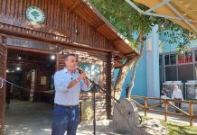 Εγκαίνια του Δασικού Περιπτέρου στην 90η ΔΕΘ – Σ. Παπασταύρου: «Καθοριστικός ο ρόλος της Δασικής Υπηρεσίας»