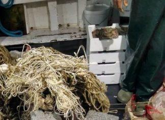 Τσιμεντόλιθοι και χιλιάδες πλαστικά σχοινάκια γεμίζουν τις ελληνικές θάλασσσες ως παράνομα απόβλητα της αλιείας