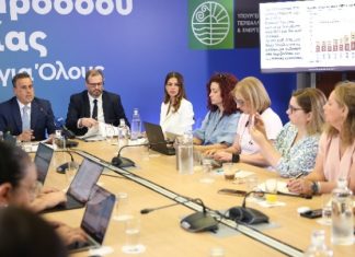 Σ.Παπασταύρου: Οι παρεμβάσεις για τη μείωση της τιμής του ρεύματος