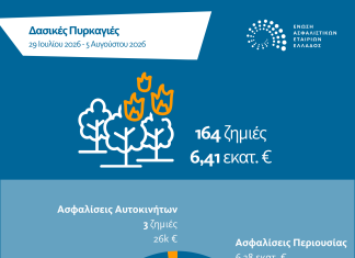 Δασικές πυρκαγιές Ιουλίου – Αυγούστου 2026: Στα 6,41 εκατ. ευρώ εκτιμώνται οι ασφαλιστικές αποζημιώσεις